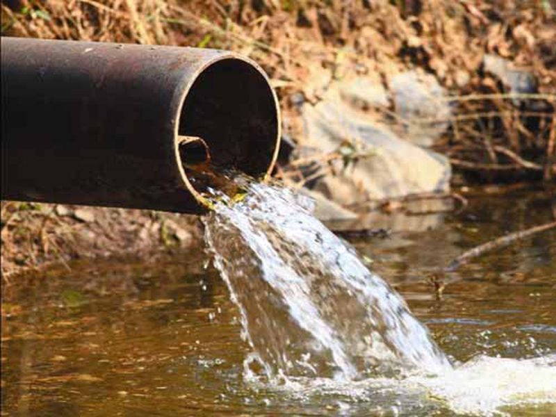 Monitoramento ambiental de fauna e flora