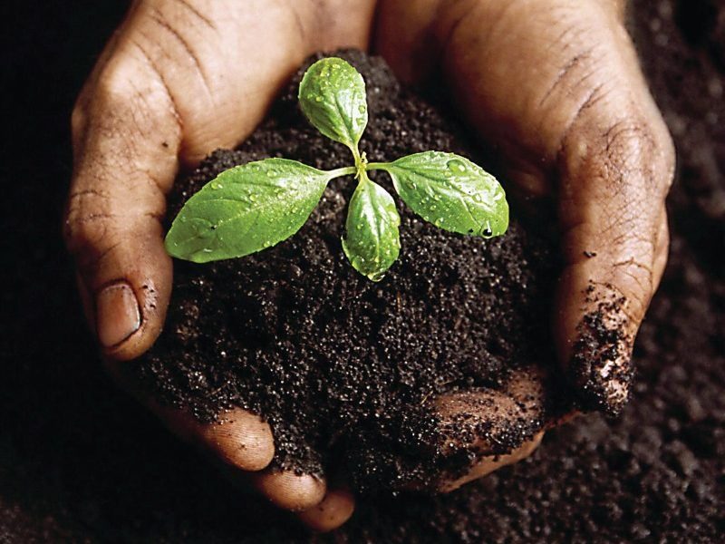 Licenciamento ambiental