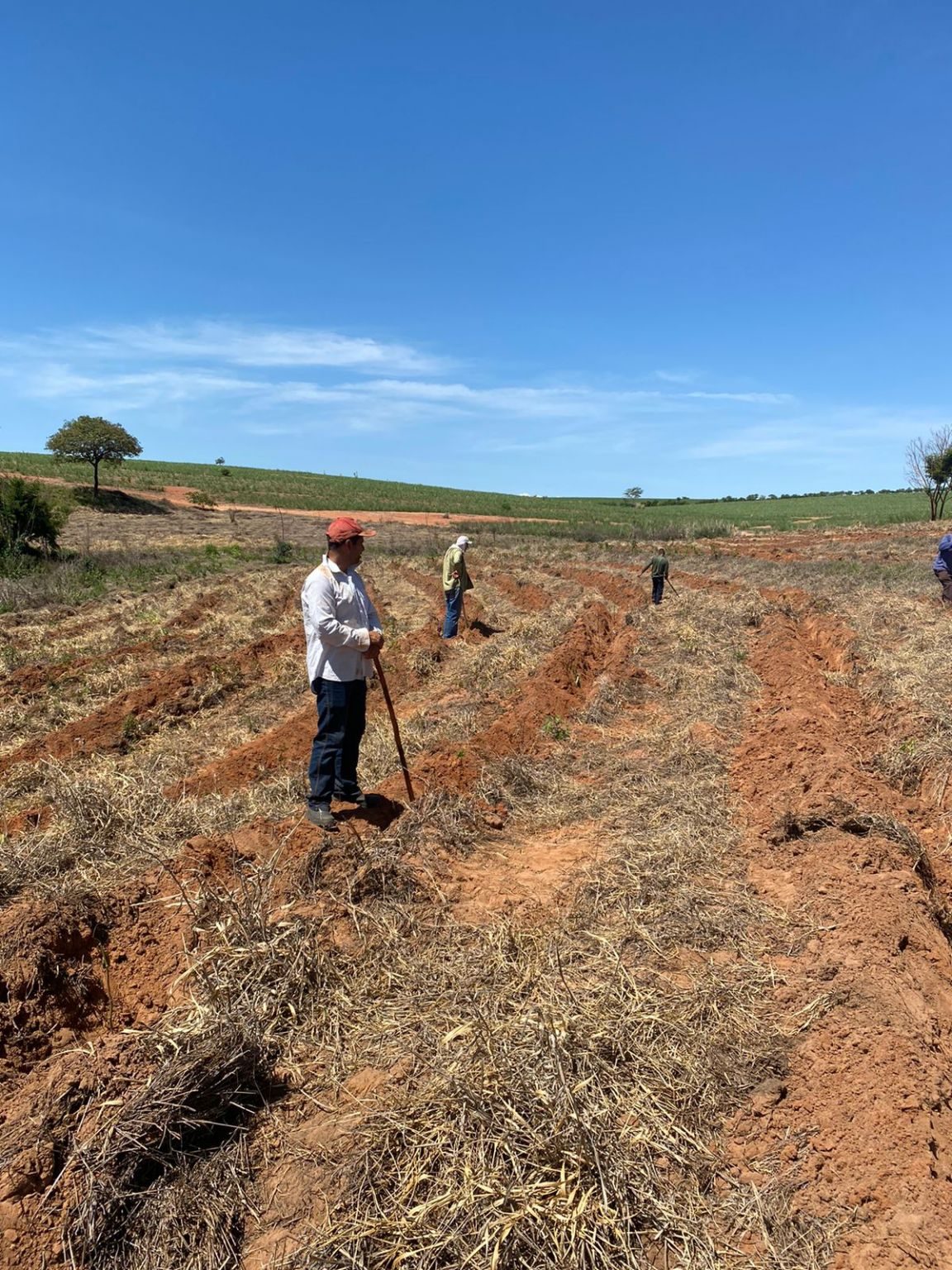 Projetos ambientais e PRAD